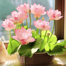 Load image into Gallery viewer, 🌸【7 days germination】Last Day Sale - 50% OFF💐The Sacred Bonsai Bowl Lotus Flower