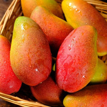 Load image into Gallery viewer, Julina Mango Fruit Tree Seeds