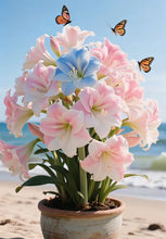 Load image into Gallery viewer, 🌺Double-Petaled Perfume Amaryllis Bulbs