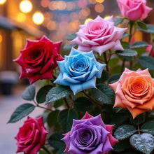 Load image into Gallery viewer, 🎁Last Day Promotion 49% OFF🔥100 Mix Climbing Rose Multiflora Seeds for Planting Outdoors Fragrant Butterfly Flower Seeds