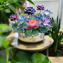 Load image into Gallery viewer, 💮Midnight Purple Lotus Seeds🔥Buy 1 Get 1 Free🔥