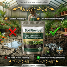 Load image into Gallery viewer, 🔥Last Day OF 49% oOFF -Soil Activated Treasure Premium Soil Activator- BUY 1 GET 1 FREE🔥