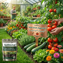 Load image into Gallery viewer, 🔥Last Day OF 49% oOFF -Soil Activated Treasure Premium Soil Activator- BUY 1 GET 1 FREE🔥