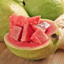 Load image into Gallery viewer, 🔥Hot Sale💚 Organic Guava  Seed🌱 Easy Grow