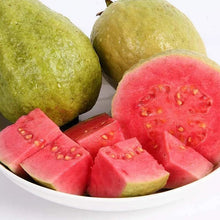 Load image into Gallery viewer, 🔥Hot Sale💚 Organic Guava  Seed🌱 Easy Grow