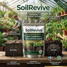 Load image into Gallery viewer, 🔥Last Day OF 49% oOFF -Soil Activated Treasure Premium Soil Activator- BUY 1 GET 1 FREE🔥