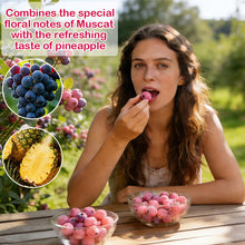 Load image into Gallery viewer, 🔥50K+ SOLD!💟Premium Pink Blueberry Seeds -😋A Uniquely Delightful Taste
