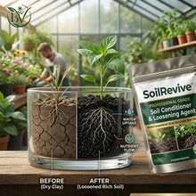Load image into Gallery viewer, 🔥Last Day OF 49% oOFF -Soil Activated Treasure Premium Soil Activator- BUY 1 GET 1 FREE🔥