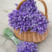 Load image into Gallery viewer, Lavender Seeds - Packet / Bulk