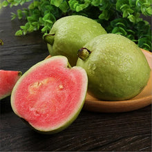 Load image into Gallery viewer, 🔥Hot Sale💚 Organic Guava  Seed🌱 Easy Grow
