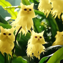 Load image into Gallery viewer, 🐱Magical plants! 🌈Cat's eye dazzling series