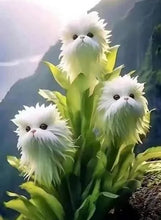 Load image into Gallery viewer, 🐱Magical plants! 🌈Cat's eye dazzling series