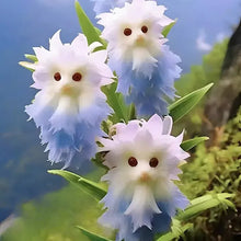 Load image into Gallery viewer, 🐱Magical plants! 🌈Cat's eye dazzling series