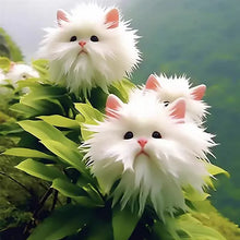 Load image into Gallery viewer, 🐱Magical plants! 🌈Cat's eye dazzling series