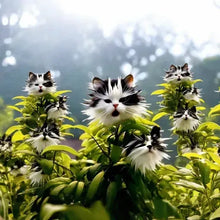 Load image into Gallery viewer, 🐱Magical plants! 🌈Cat's eye dazzling series