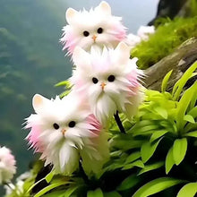 Load image into Gallery viewer, 🐱Magical plants! 🌈Cat's eye dazzling series
