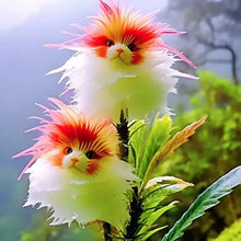 Load image into Gallery viewer, 🐱Magical plants! 🌈Cat's eye dazzling series