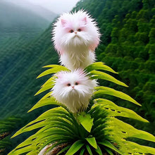 Load image into Gallery viewer, 🐱Magical plants! 🌈Cat's eye dazzling series