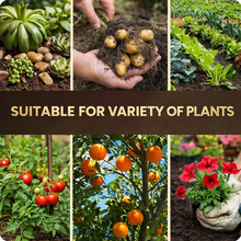 Load image into Gallery viewer, 🔥Last Day OF 49% oOFF -Soil Activated Treasure Premium Soil Activator- BUY 1 GET 1 FREE🔥