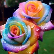 Load image into Gallery viewer, Blue Enchantress Rose Seeds For Garden (001)
