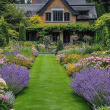 Load image into Gallery viewer, 🔥LAST DAY 49% OFF- Evergreen dwarf grass seed for four seasons