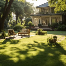 Load image into Gallery viewer, 🔥LAST DAY 49% OFF- Evergreen dwarf grass seed for four seasons