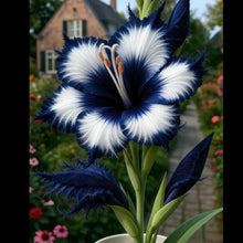 Load image into Gallery viewer, 🔥 Last Day OF Sale OF 49 % OFF 🔥 --🪶 Rare Feather-Edged Lily Seeds – Stunning Pink &amp; White Blooms, Easy to Grow