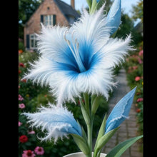 Load image into Gallery viewer, 🔥 Last Day OF Sale OF 49 % OFF 🔥 --🪶 Rare Feather-Edged Lily Seeds – Stunning Pink &amp; White Blooms, Easy to Grow