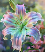 Load image into Gallery viewer, 🔥 Last Day OF Sale OF 49 % OFF 🔥 --🪶 Rare Feather-Edged Lily Seeds – Stunning Pink &amp; White Blooms, Easy to Grow