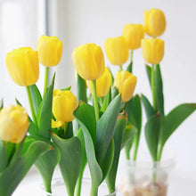 Load image into Gallery viewer, Tulip Bulbs - Golden Parade
