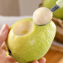 Load image into Gallery viewer, 🔥Hot Sale💚 Organic Guava  Seed🌱 Easy Grow