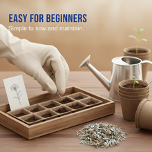 Load image into Gallery viewer, 🌸 All-Season Blooming Cornflower Seeds for Gardens 🌸