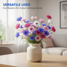 Load image into Gallery viewer, 🌸 All-Season Blooming Cornflower Seeds for Gardens 🌸